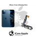iPhone 12 Pro Charging Flex Replacement Service Dhaka